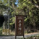 바가펜션 | 남해 오션뷰 숙소 감성 한옥스테이 고운재 한옥펜션 주목 객실 솔직 상세 후기