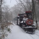 에코랜드 이미지