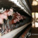 37.2도 연합뉴스