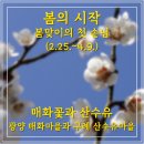주원항공여행사 이미지