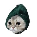 압구정 동물의료센터 이미지