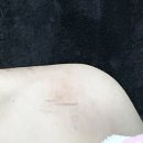 동키황토방 | T✪ky✪ girlミ★