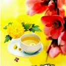 당구놀이터 이미지