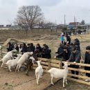 희망씨앗농장 이미지