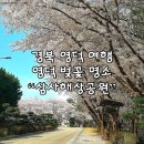 해상공원 대종 아래 | 영덕 가볼만한 곳 벚꽃명소 삼사해상공원 산책로