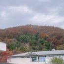 월송리CC클럽하우스사우나 이미지