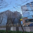 일원초등학교 이미지
