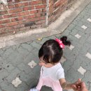 예나의 캔들 네이버블로그