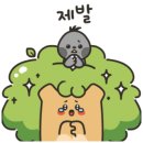 탑건셀프세차장 이미지