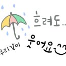 시골맛집물회 이미지