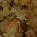 치킨의발견 이미지