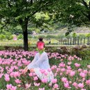 명곡로 | 송해공원 튤립보고 들리기 좋은 카페 추천 웜브리즈 후기