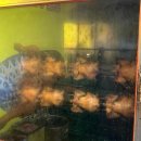 이마트24 계산현대점 이미지