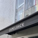일본 도쿄 여행 : 시부야 요요기공원 카페 “카멜백” 타마고산도 후기