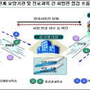 처방전간 DUR, 의약분업 완성…의약 공감대 확산 이미지