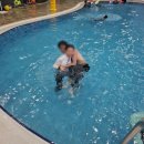 (주)보광제주 휘닉스아일랜드 | 휘닉스 아일랜드 제주 사계절 온수풀 수영장 정보 먹거리