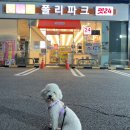 폴리파크 평리점 이미지