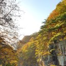 무릉계곡 이미지