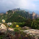 금수강산 이미지