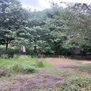 솔향기힐링펜션 이미지