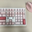 라임 PC | 직장에서 쓰기 너무좋은 무소음 기계식키보드 후기, 추천, 사용설명서: 프리플로우 AK68 듀얼다이얼 라임축