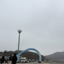 오후엔 | 인천 신시모도 여행 휠프렌즈 스쿠터 대여 그리고 맛집 벚꽃현황