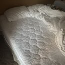 가을제주2(올래국수,같이살자지구카페,친봉산장,세화해변,디앤디,운산식당)