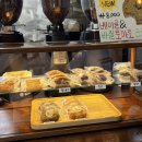 돌아기랑 제주도 서귀포 동쪽 여행 독채풀빌라펜션 맛집 일정 코스 추천