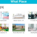 청춘방역(소독) 네이버블로그