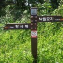 사파동338 이미지