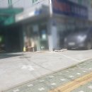 대운카센타 네이버블로그