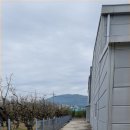 와촌면사무소 이미지