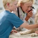 이동물병원 이미지