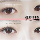 라보떼래쉬 이미지