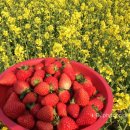 김태하 농장 이미지