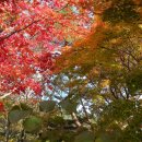 해인초등학교 이미지