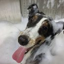 이지스힐 이미지