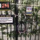 동천세차장 이미지