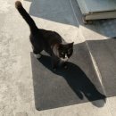 GS25 춘천효제점 이미지