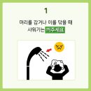 코끼리 환경 이미지