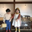 슈니네옷짱