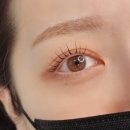 더무드라인 | [ 청주 속눈썹 ] 청주 뷰티샵 금천동 속눈썹펌 동남지구속눈썹펌 시술 추천 <라인무드> 방문 후기