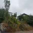 오궁리 이미지
