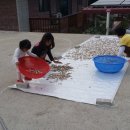 광만농장 이미지