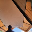 비발디 향기나무 이미지