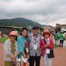 박인환문학관 이미지