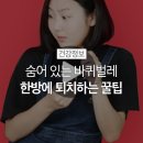 숨어 있는 바퀴벌레 퇴치하는 방법 이미지