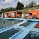 홍제