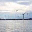 탐라태양광발전소 이미지