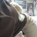 아츄코리아